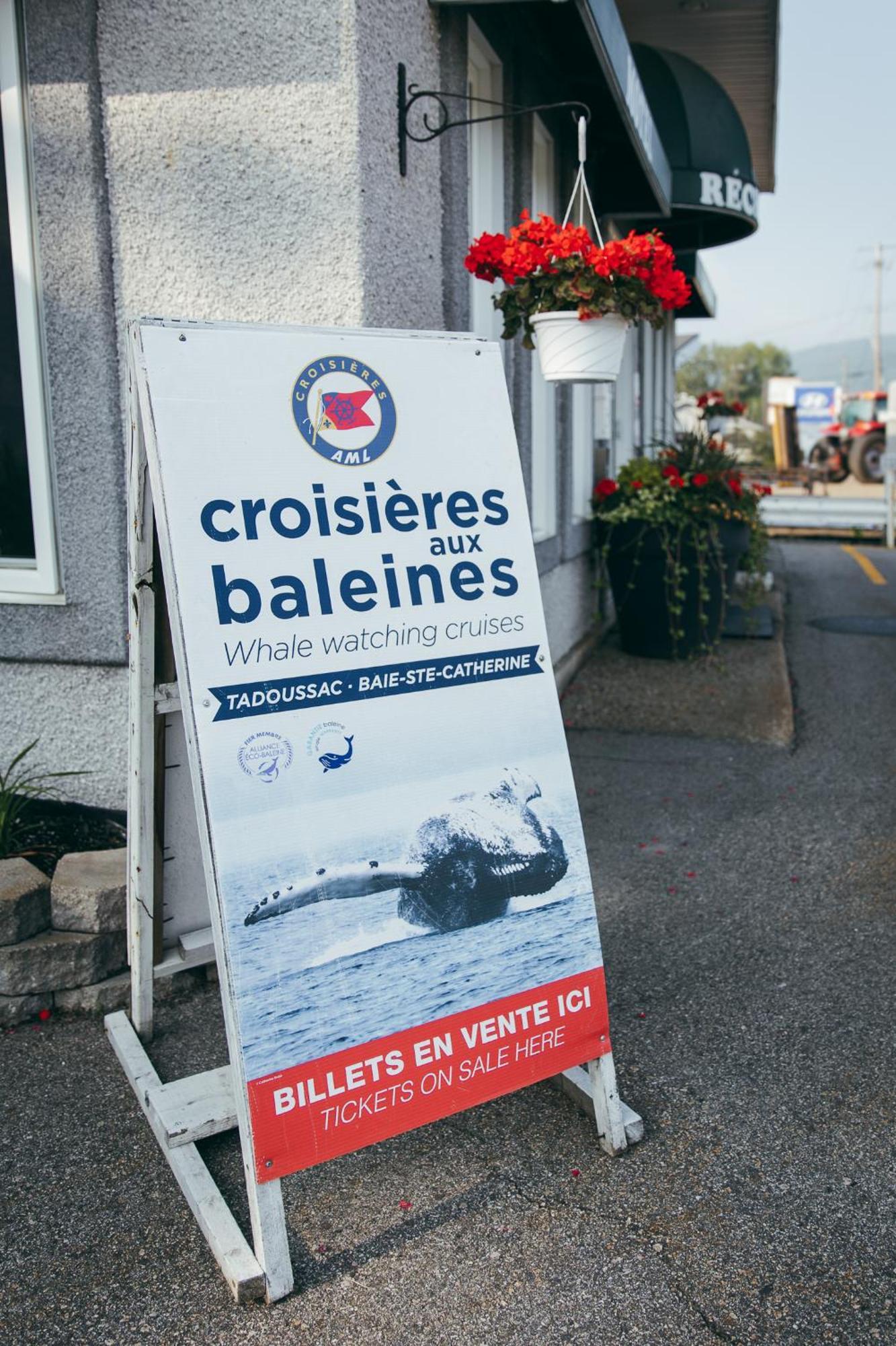 Motel Des Cascades Baie-Saint-Paul Luaran gambar