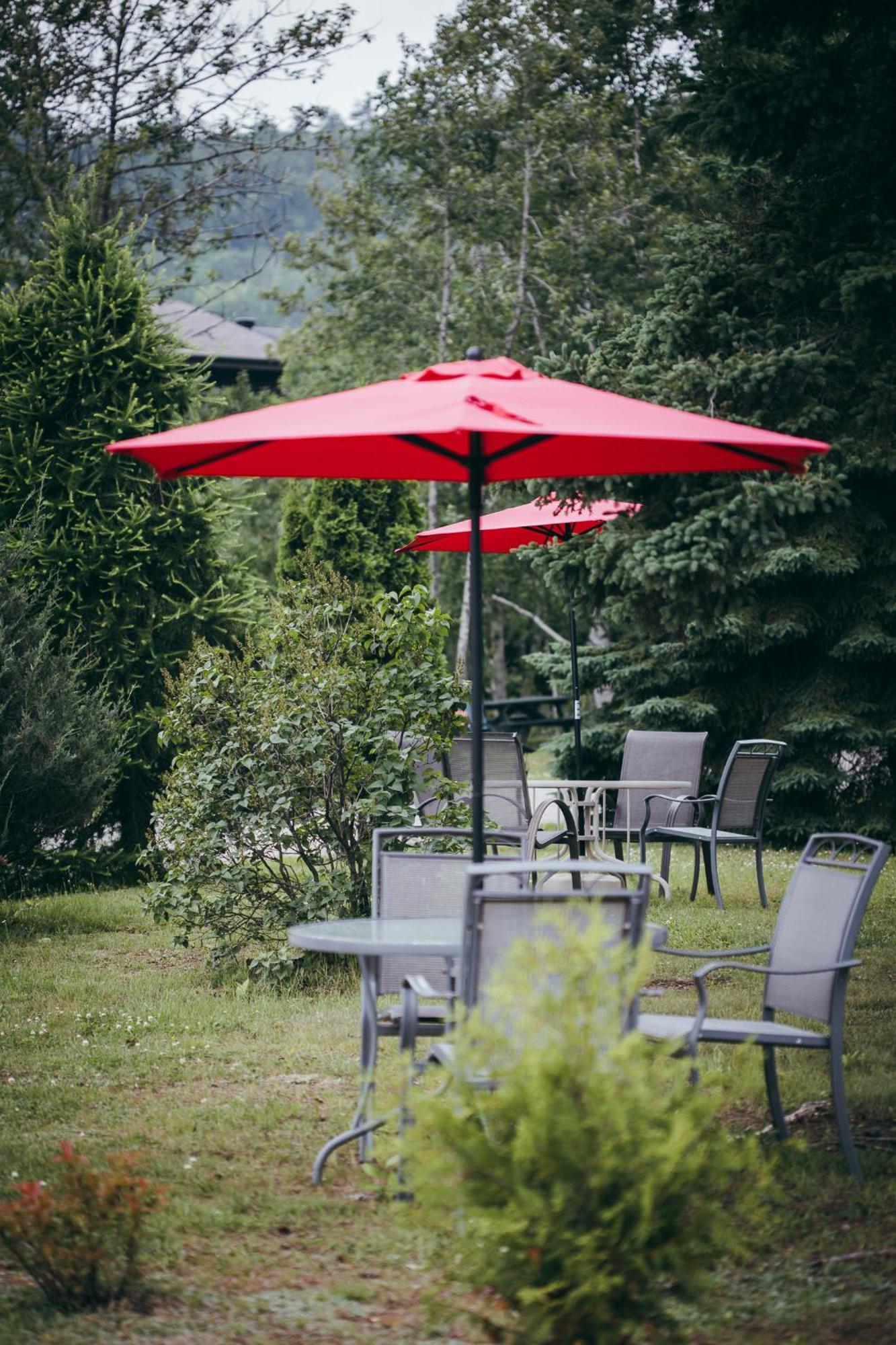 Motel Des Cascades Baie-Saint-Paul Luaran gambar